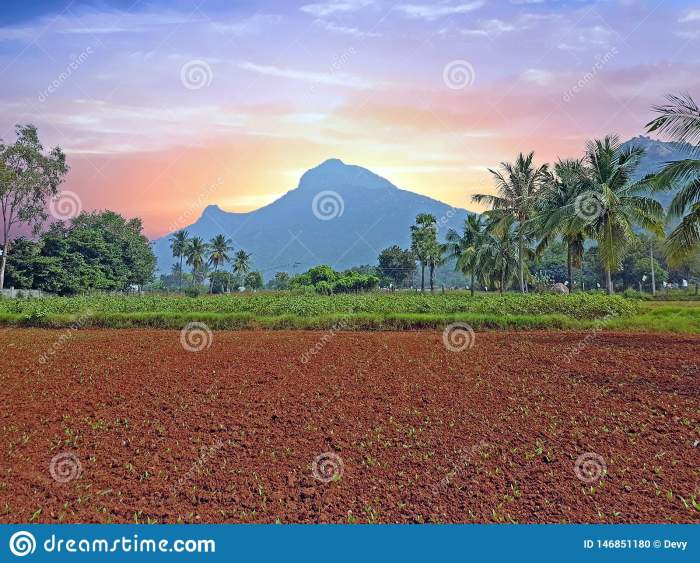 holy-mountain-arunachala-tiruvanamalai-tamil-nadu-india-sunset-holy-mountain-arunachala-tiruvanamalai-tamil-nadu-146851180[1]